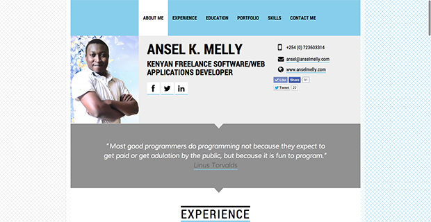 Programmer's website.
