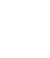Finplus Group inverted logo